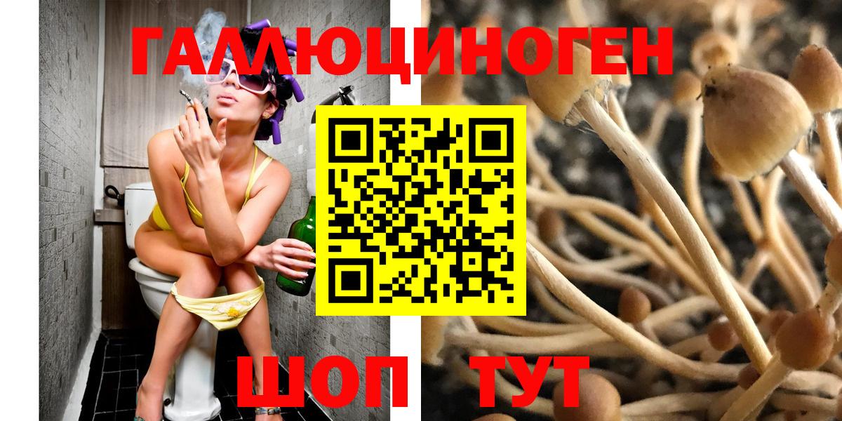 Галлюциногенные грибы MAGIC MUSHROOMS Тайшет