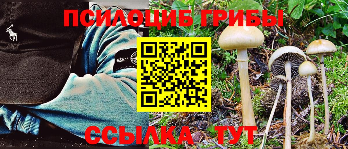 Тайшет  Псилоцибиновые грибы Psilocybine cubensis  Псилоцибиновые грибы ЛСД  Вход с VPN 